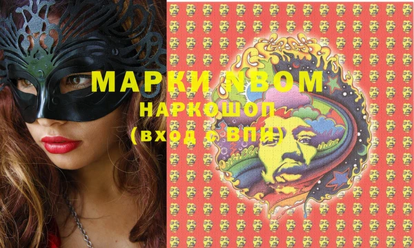 прущие грибы Верхний Тагил