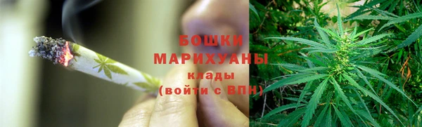 молекула духа Волоколамск