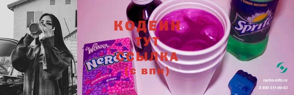 прущие грибы Верхний Тагил