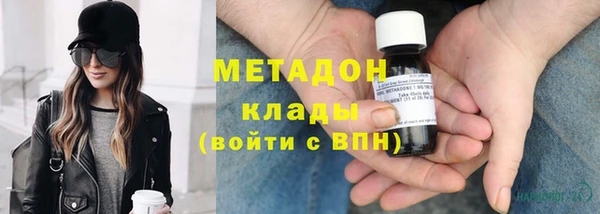 прущие грибы Верхний Тагил