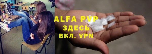 прущие грибы Верхний Тагил