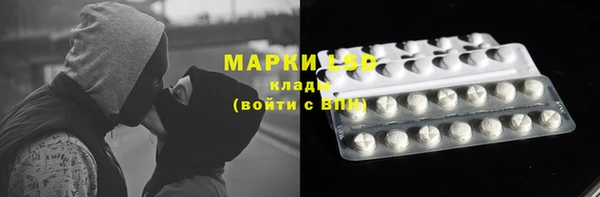 эйфоретик Сосновый Бор