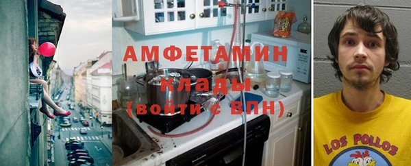 прущие грибы Верхний Тагил